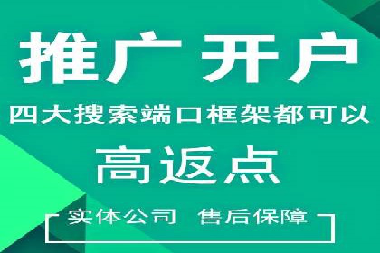 行业标杆的SEM竞价营销案例研究